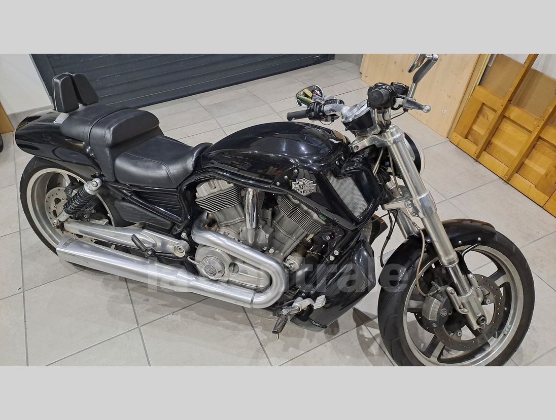 Annonce Harley Davidson V Rod Muscle Noir Occasion Pas De