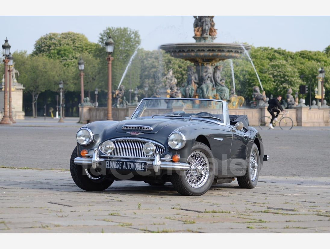 Austin Healey 3000 