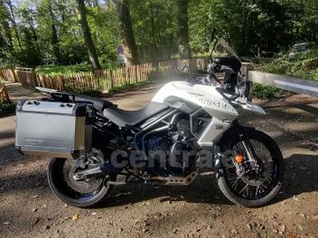 TRIUMPH TIGER 800