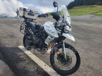 TRIUMPH TIGER 800