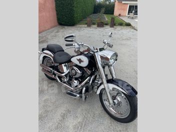 HARLEY DAVIDSON SOFTAIL FLS 1690