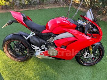 DUCATI PANIGALE V4 S 1100