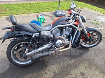 HARLEY DAVIDSON STREET ROD 1130