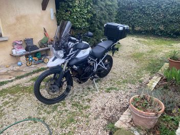 TRIUMPH TIGER 800