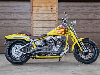 HARLEY DAVIDSON SCREAMIN EAGLE SPRINGER 1800