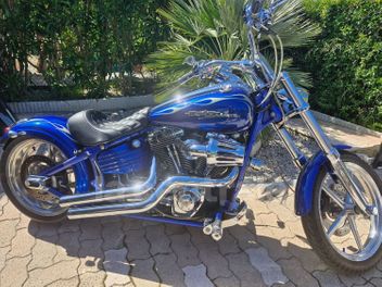 HARLEY DAVIDSON SOFTAIL CUSTOM 1584 BICOLORE