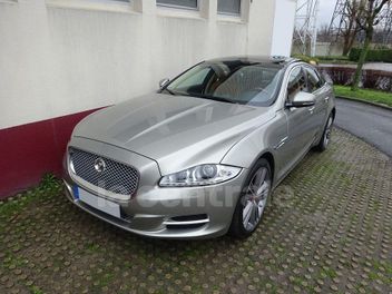 JAGUAR 