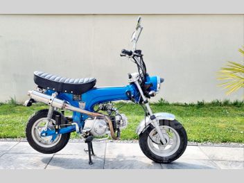 SKY TEAM DAX REPLICA 110