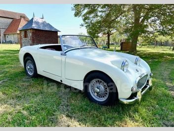 AUSTIN HEALEY 