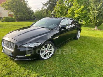 JAGUAR 