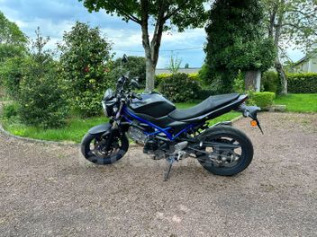 SUZUKI SV 650