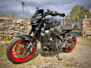 YAMAHA FZ 1 N
