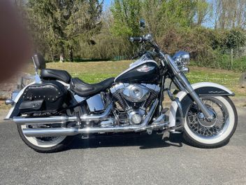 HARLEY DAVIDSON SOFTAIL DELUXE 1584 BICOLORE