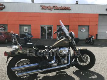 HARLEY DAVIDSON SOFTAIL CROSS BONES 1584