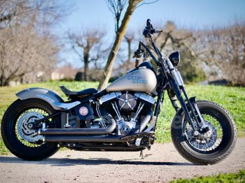 HARLEY DAVIDSON SOFTAIL ROCKER 1584 METAL