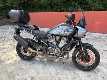 HARLEY DAVIDSON PAN AMERICA 1250