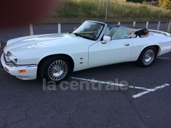 JAGUAR 
