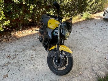 YAMAHA FZ 6 N