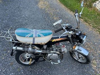 SKY TEAM DAX REPLICA 110