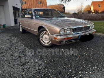 JAGUAR 
