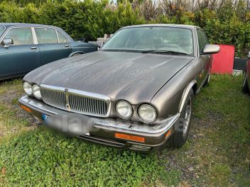JAGUAR 