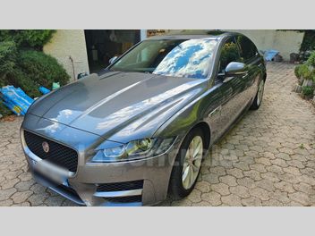 JAGUAR 