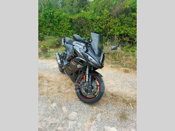 KAWASAKI SX 1000 NINJA PERFORMANCE