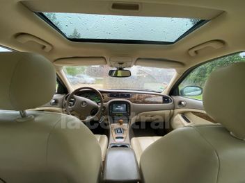 JAGUAR 