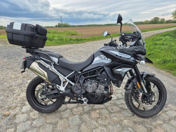 TRIUMPH TIGER 900 GT