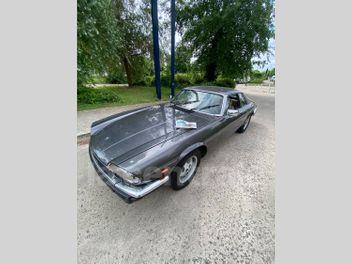 JAGUAR 