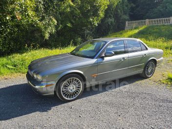 JAGUAR 