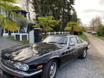JAGUAR 