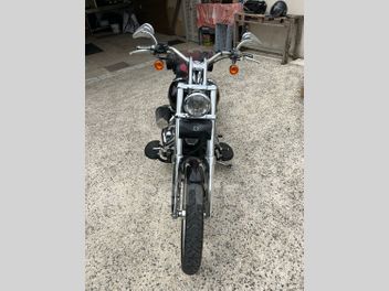 HARLEY DAVIDSON SOFTAIL DELUXE 1584 BICOLORE