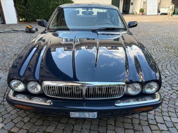 JAGUAR 