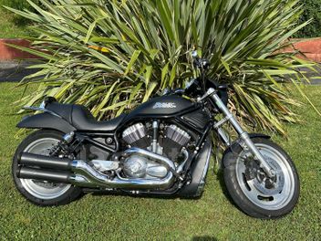 HARLEY DAVIDSON STREET ROD 1130