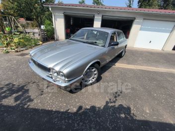 JAGUAR 