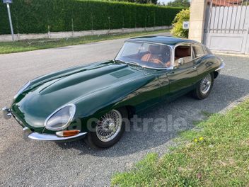 JAGUAR 