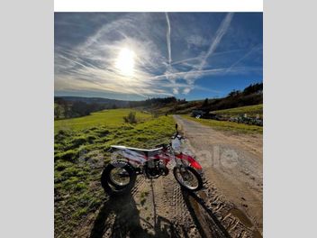 BETA RR ENDURO 50 STANDARD