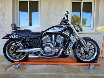 HARLEY DAVIDSON STREET ROD 1130