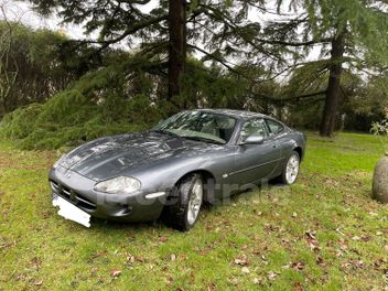 JAGUAR 