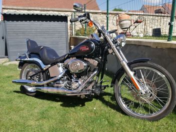 HARLEY DAVIDSON SOFTAIL CUSTOM 1584 NOIR