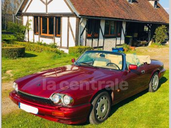 JAGUAR 