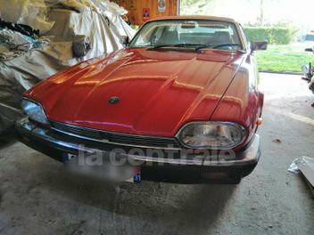 JAGUAR 