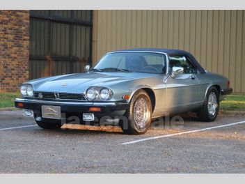 JAGUAR 