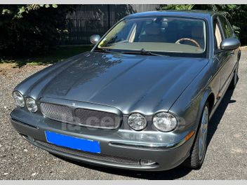 JAGUAR 