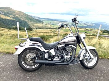 HARLEY DAVIDSON SOFTAIL ROCKER 1584 METAL