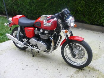 TRIUMPH THRUXTON 865