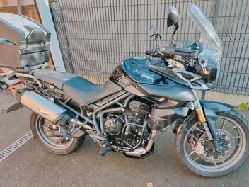 TRIUMPH TIGER 800