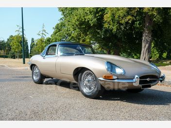 JAGUAR 