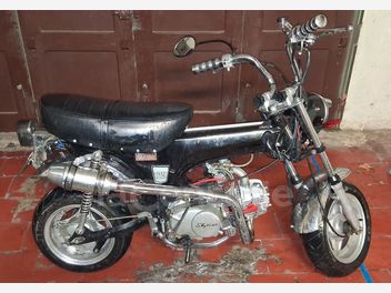 SKY TEAM DAX REPLICA 110